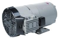 3HCA5 Piston Air Compressor, 1/3HP, 115/230V, 1Ph
