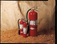 3YWH4 Fire Extinguisher, Dry Chemical, BC, 30B:C
