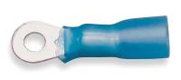 3LB31 Ring Terminal, Blue, Brazed, 16 to 14, PK25