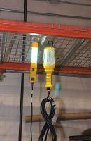 3LGX3 Work Light Fluorescent with 50 ft. Cord