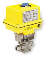 3MTE8 Electric Ball Valve, SS, 3/8 In.