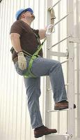 3NPP1 Positioning Hook With Carabiner