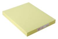 3NPT2 Cleanroom Paper, Canary, PK 2500