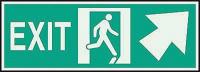 3NU24 Exit Sign, 5 x 14In, GRN/Glow, Exit, ENG