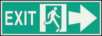3NU39 Exit Sign, 5 x 14In, GRN/Glow, Exit, ENG