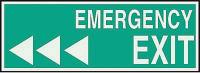 3NU44 Emergency Exit Sign, 5 x 14In, LT GRN/GRN