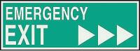 3NU47 Emergency Exit Sign, 5 x 14In, LT GRN/GRN