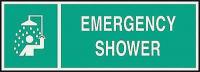 3NU51 Emergency Sign, 5 x 14In, LT GRN/GRN, ENG