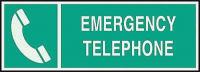 3NU55 Emergency Sign, 5 x 14In, LT GRN/GRN, ENG