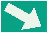 3NU88 Directional Sign, 7 x 10In, LT GRN/GRN, SYM