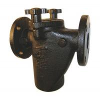 3NXF5 Basket Strainer, 2 In, Flanged, Cast Iron