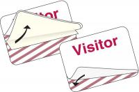 3TLR9 Visitor Badge, 1 Day, Red/White, PK 500