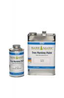 3WCP4 Boundary Marking Paints, Blaze Orng, 1 gal