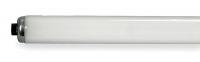 24W605 Fluorescent Linear Lamp, T12, Cool, 4100K