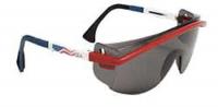 3WLH2 Safety Glasses, Gray, Antifog