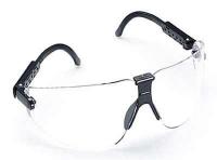 3WLL1 Safety Glasses, Clear, Antifog