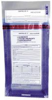 3YMK2 Evidence Security Bag, 8 x 5 In, PK 100