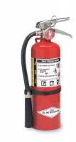 3YWL7 Fire Extinguisher, Dry Chemical, 2A:10B:C