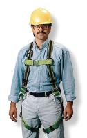 3ZL81 Full Body Harness, Universal, 400 lb, Green