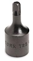 3ZY17 Torx Bit Socket, Internal, 3/8 Drive, T55