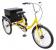 33X833 - Industrial Tricycle, 24 In, Rear Cabinet Подробнее...