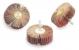 3DU92 - Flap Wheel, AO, 3x1x1/4 In Shank, 80G Подробнее...