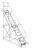 20Z469 - Rolling Ladder, Hndrl, Pltfm 150 In H Подробнее...