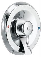 40D668 Shower Trim Kit, Lever, Chrome