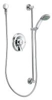 40D682 Handheld Shower Trim Kit, Lever, Chrome