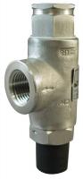 40L329 Safety Relief Valve, 1/2 In, 200 psi, SS