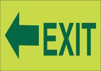 41F521 Exit Sign, 12 x 9In, Light Green/Green