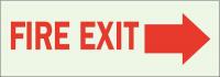 41F910 Fire Exit Sign, 3-1/2 x 10In, Red/Green