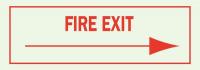 41F897 Fire Exit Sign, 5 x 4In, Red/Green