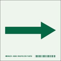 41F919 Directional Sign, 6 x 6In, Grn/Light Green