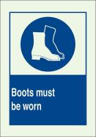 41G049 Information Sign, 10 x 14In, Blue on Green