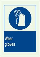 41G050 Information Sign, 14 x 10In, Blue on Green