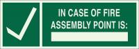 41G064 Fire Exit Sign, 5 x 4In, Light Green/Green