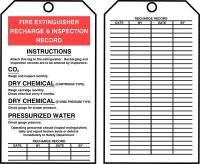 43Z221 Inspection Tag By The Roll, 6.25x3, PK 250