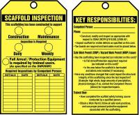 43Z235 Inspection Tag, Roll, 6-1/4 x 3, PK 250