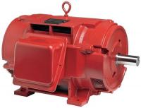 44A133 Fire Pump Motor, 30 HP, 3530 RPM, 60/50 Hz