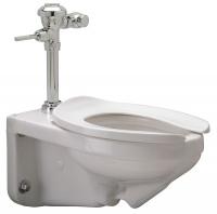 45A124 Toilet Bowl, Flush Valve, 1.28 gpf