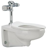 45A128 Toilet Bowl, Flush Valve, 1.28 gpf