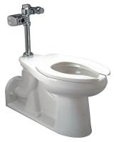 45A143 Toilet Bowl, Flush Valve, 1.6 gpf