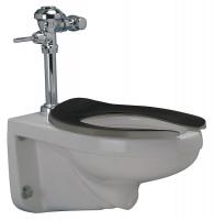 45A151 Toilet Bowl, Flush Valve, 1.6 gpf