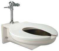 45A154 Toilet Bowl, Bariatric, 1.6 gpf