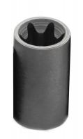 46C153 Socket, Female Torx, 3/8 Dr, 6 Pt, E16