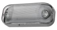 46C220 Emergency Light, Wet Loc, Halogen, Gray