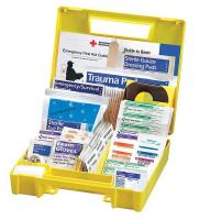 46G227 First Aid Kit, Personal, 10 Person, Plastic
