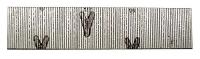 48J289 Micro Pin Nail, 5/8 In, PK 2600