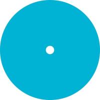 48W884 Phase Disc, Blue, Round, 3In